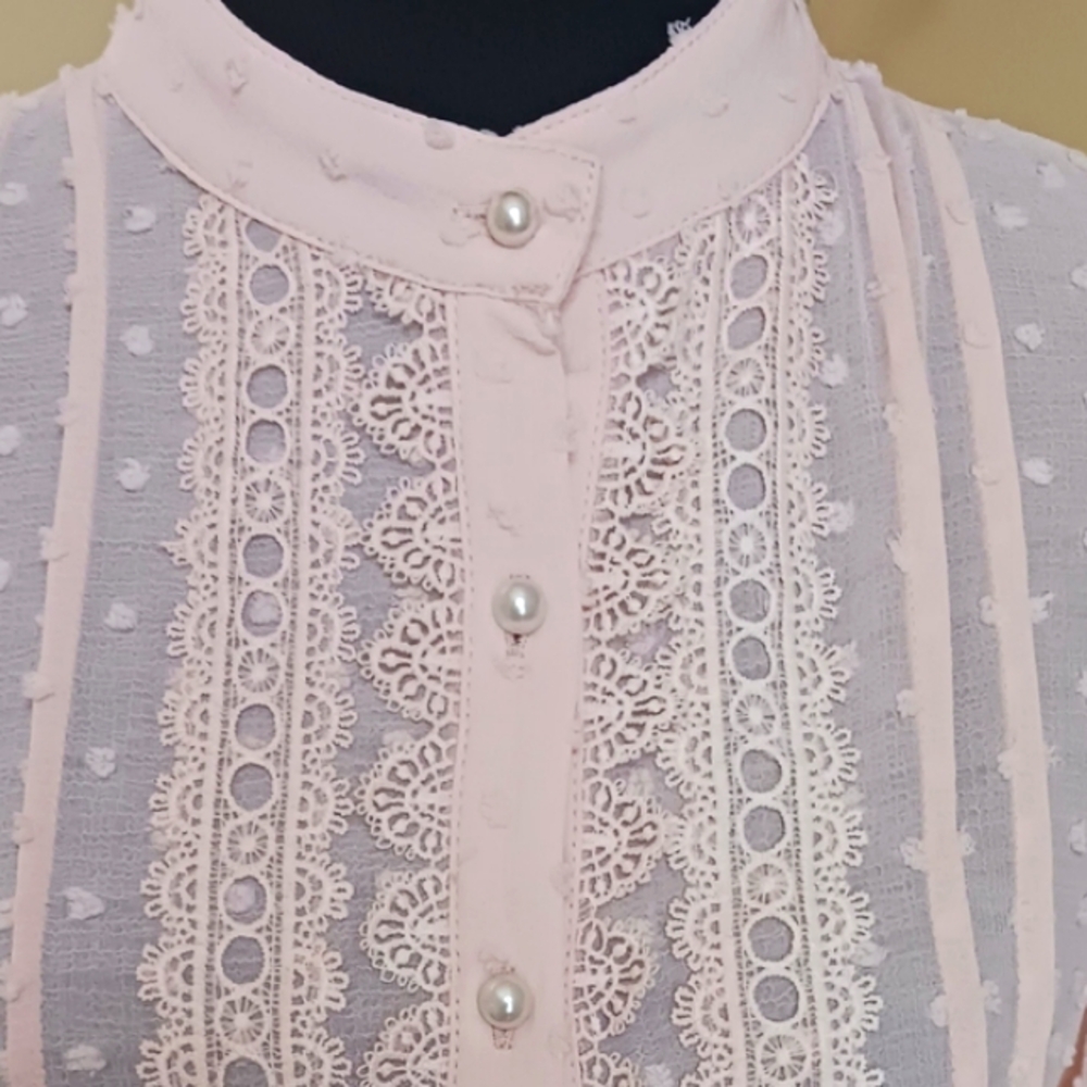 POL Swiss Dot Lace Accent Pale Pink Blouse NWOT  Small - Picture 13 of 13
